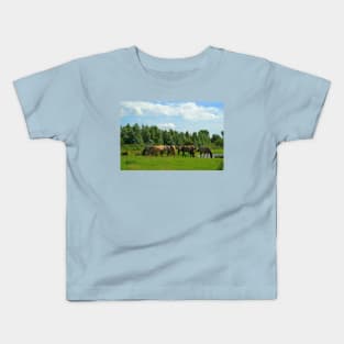 Herd of Konik horses Kids T-Shirt